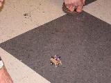 0708_21.jpg