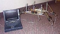 9809_02.jpg